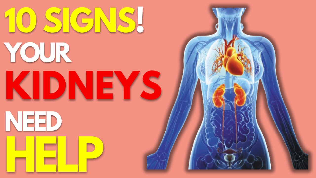 Red Alert For Kidney - If You Have 5 Out Of 10 Signs