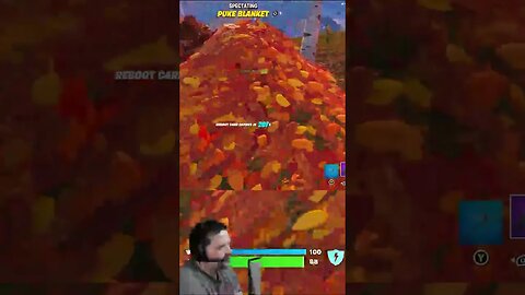 Fortnite Victory with Bro!