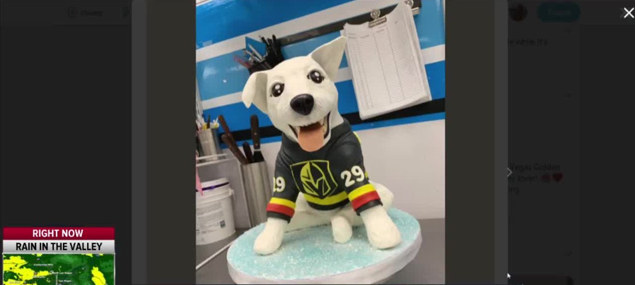 Las Vegas bakery makes Bark Andre Furry cake