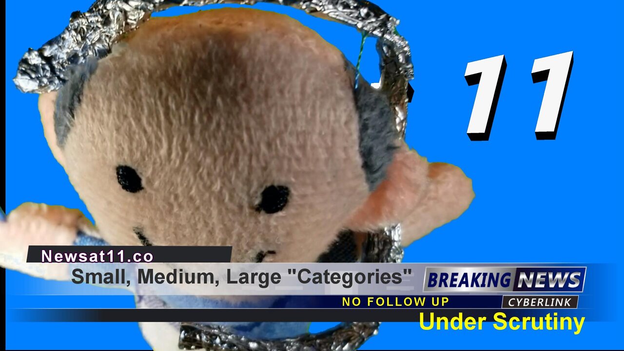 Small, Medium, Large "Categories" Under Scrutiny. News at 11.