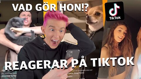 REAGERAR PÅ TIKTOK *SJUKASTE HAHAHAHA*