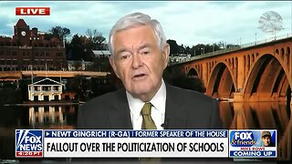 Newt Gingrich: ‘ I think a tsunami is coming. I think it's gonna be huge.’