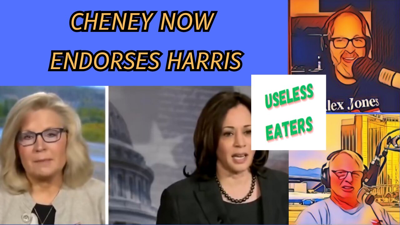 Liz Cheney did not always endorse Kamala Harris