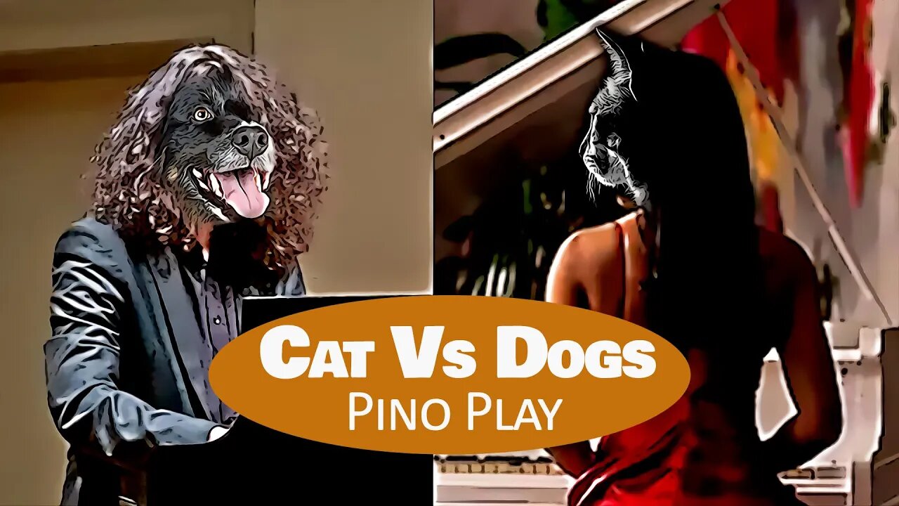 Dog and Cat playing Pino - funny compilation 2022