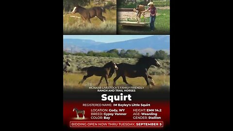 McNabb Livestock's Exclusive Sale!