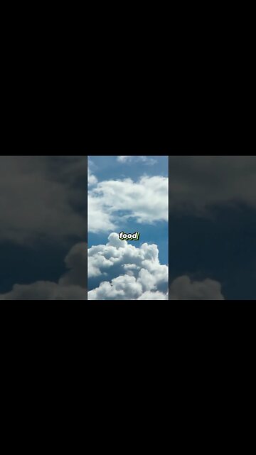 I'll let moths eat your Jacket #shorts #funny #viral