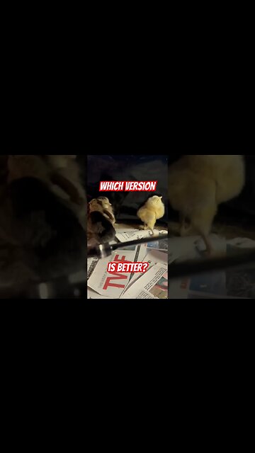 Which Version is Better? #knife