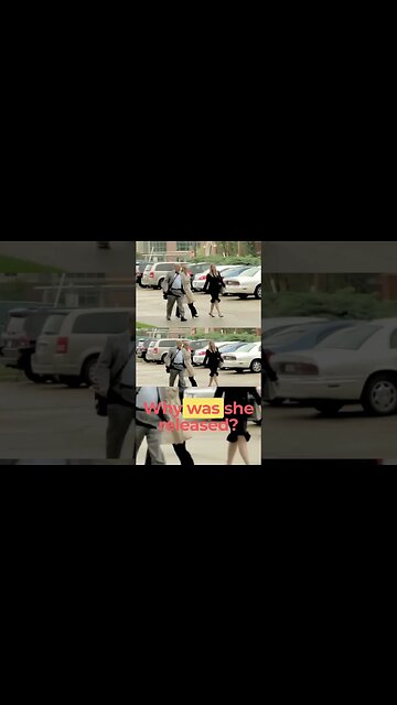 How Did the Entitled Horsewoman Embezzle Millions for a Luxurious Lifestyle? pt7