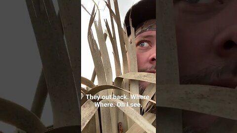 What are you looking 👀 for.