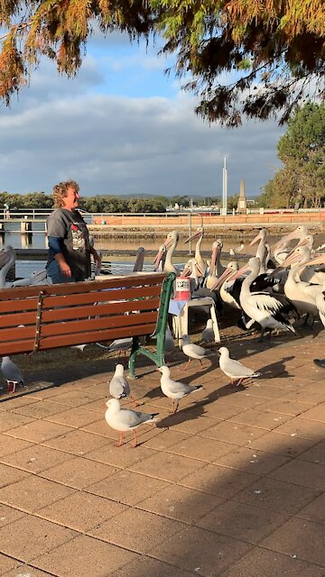 Woy Woy New South Wales