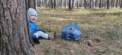 Ведьмин круг Собираем осенью 🍁🍄рядовка фиолетовая