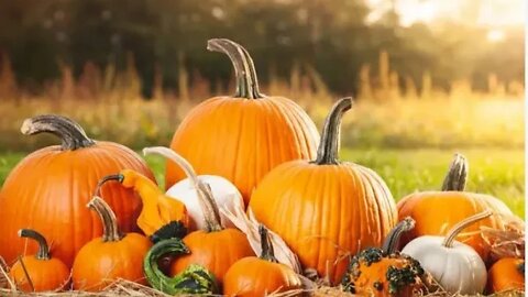Making Pumpkin, Honey, & Turmeric Soap