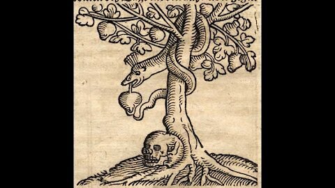 20161204 The Tree Of Knowledge Of Good And Evil