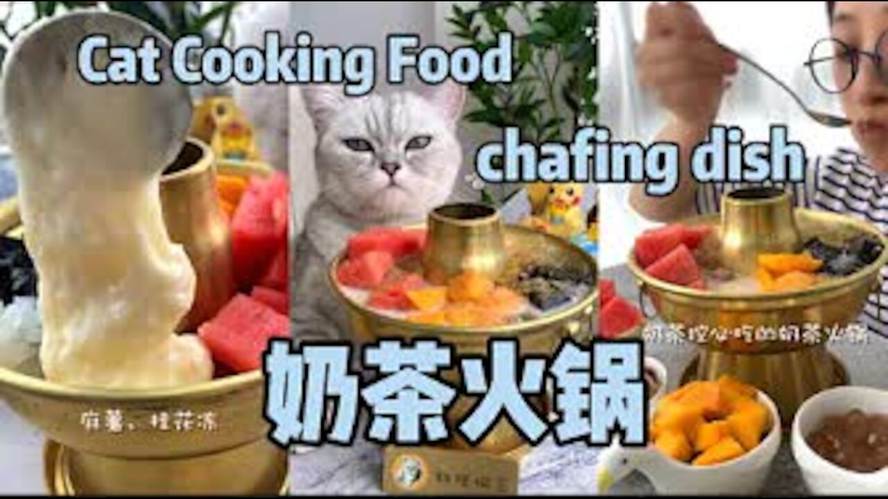 chafing dish Cat