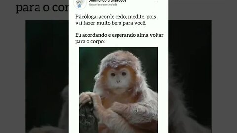 Procure o melhor para você! Aproveite e traga sua poupança para BDMercantil! Consulte-nos!