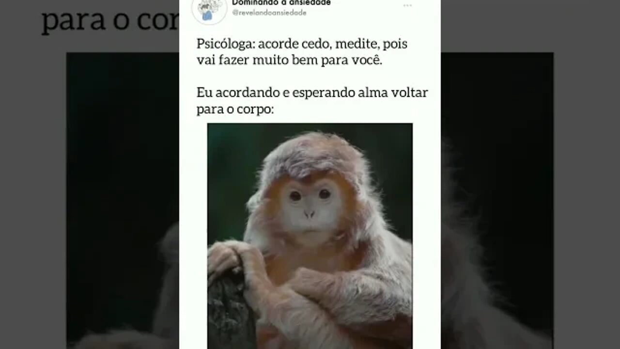 Procure o melhor para você! Aproveite e traga sua poupança para BDMercantil! Consulte-nos!