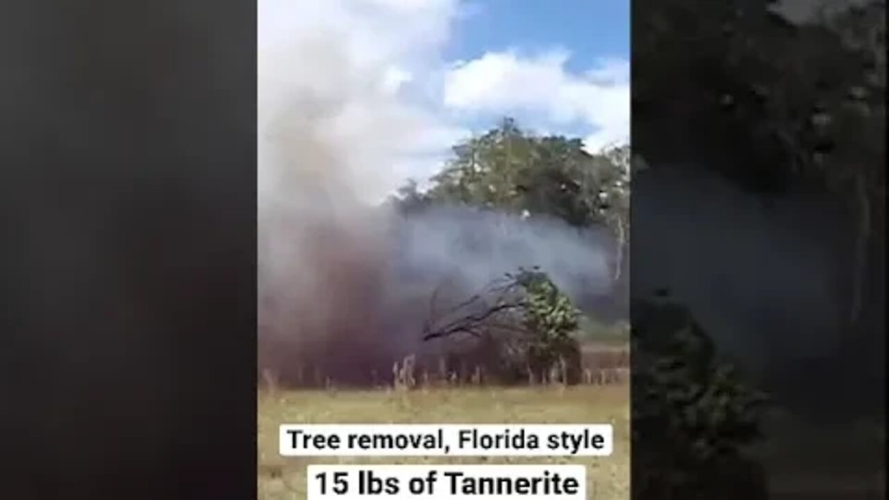 Tree Removal With An AR15 & 15 Lbs Of Tannerite