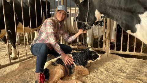 Entrevue Vicky St-Hilaire - Mars 2022