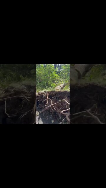 Damage after Hurricane Fiona