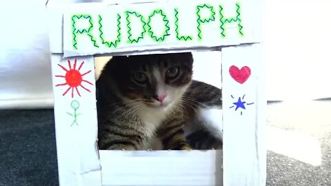 Are U at Home, Rudolph