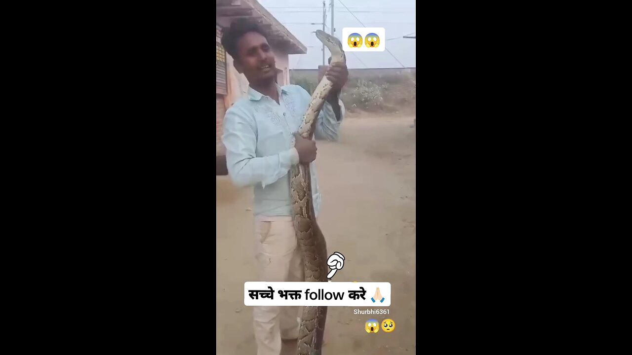 snake bite funny video 🤣