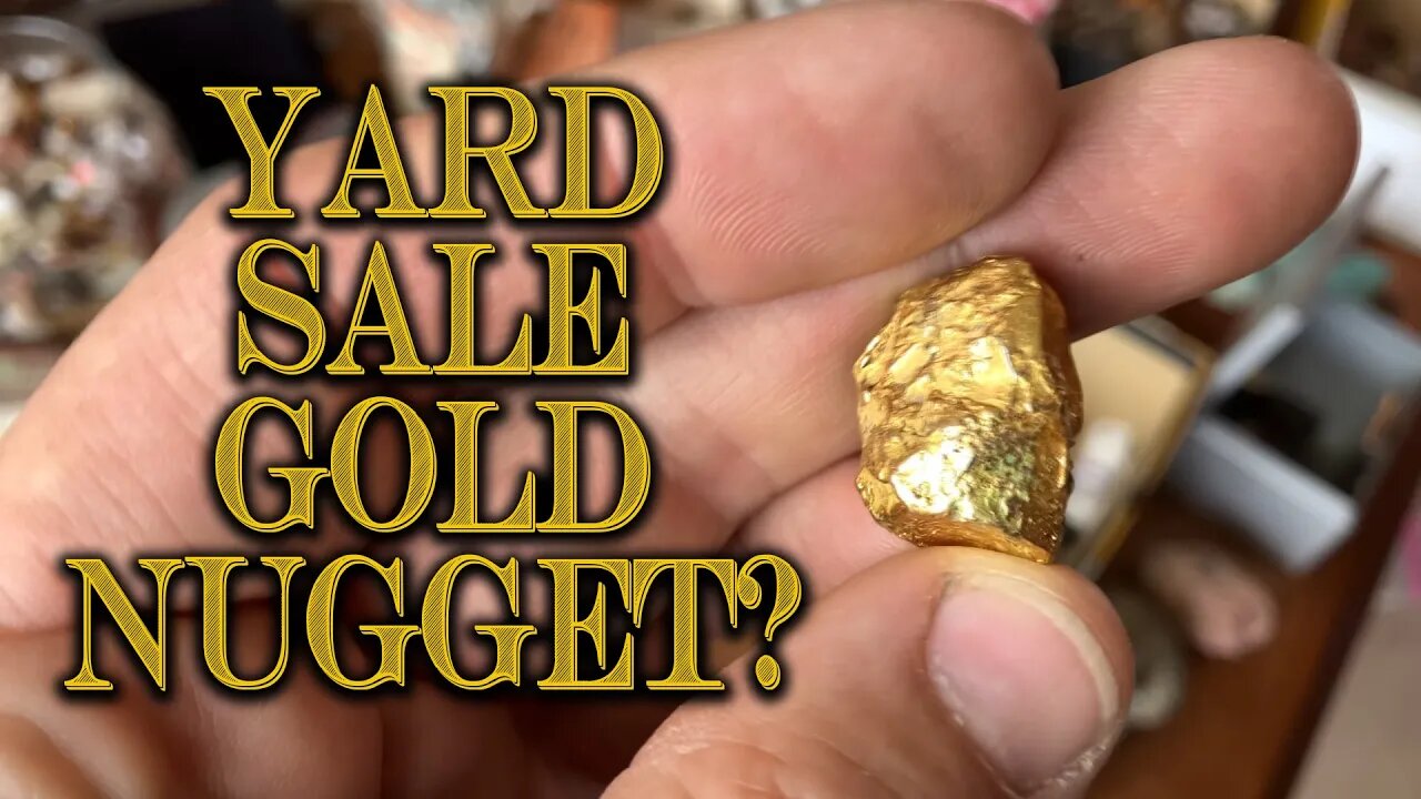 I Couldn't Believe It - The Most Insane Yard Sale