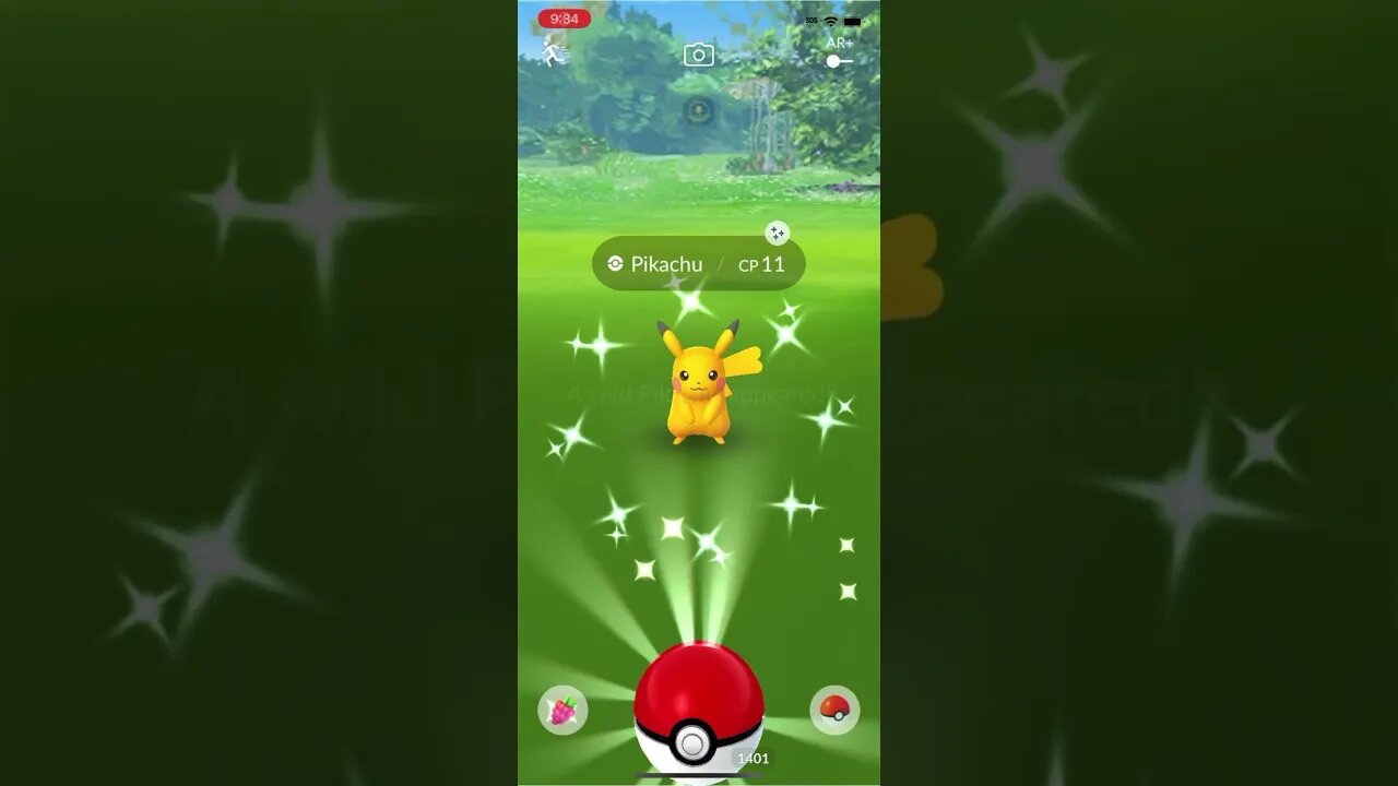 Shiny Compilation