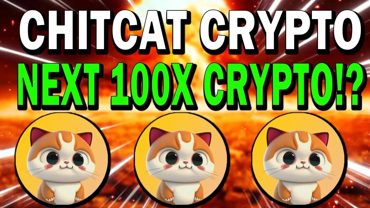 CHITCAT CRYPTO!! SOCIAL MEDIA DAPP USING BLOCKCHAIN TECH!! NEXT 100X?!