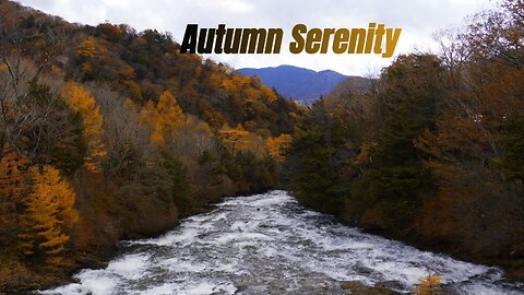 Autumn Serenity