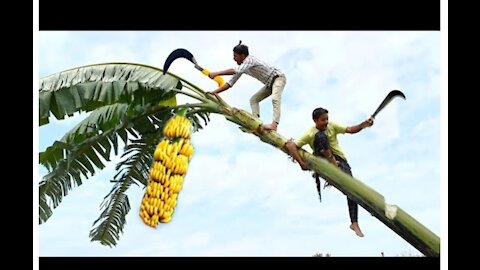 Prank video! Comedy video