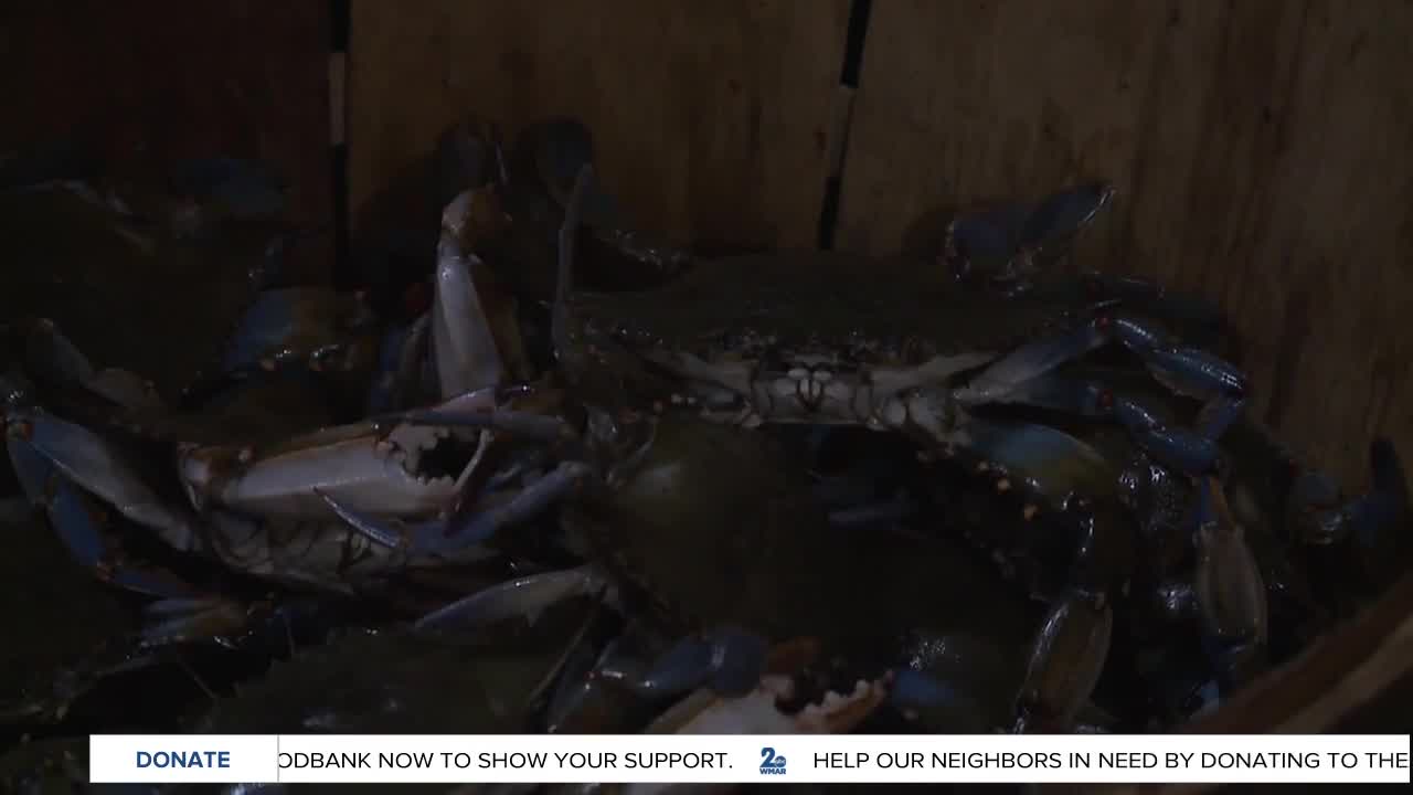 Celebrating Mother's Day with steamed crabs