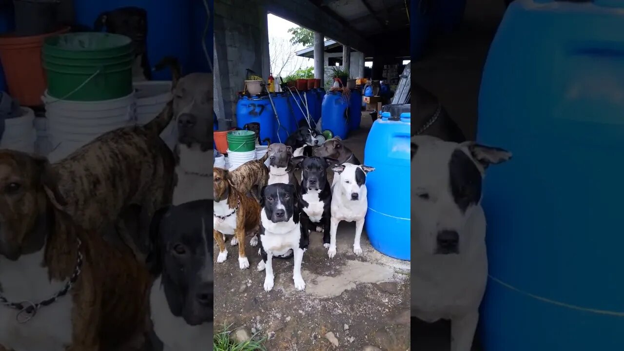 Hi 👋