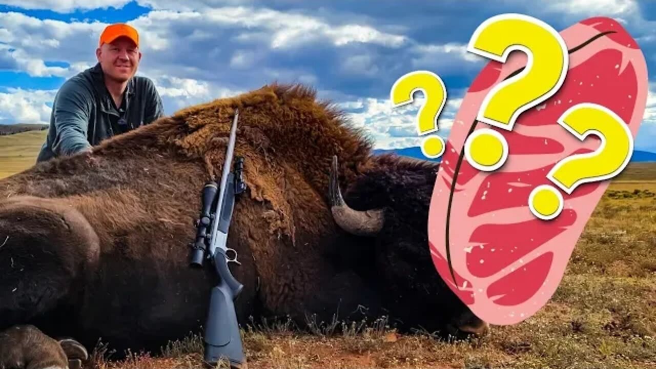 How Much Meat from a Bison???