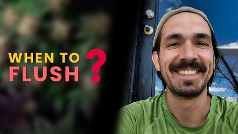 When Is the Right Time to Flush?