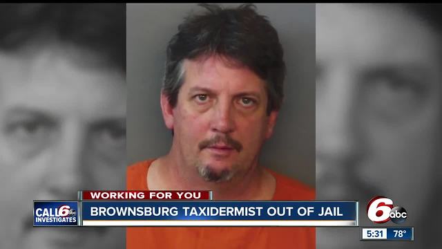 Brownsburg taxidermist released from jail, pleads not guilty