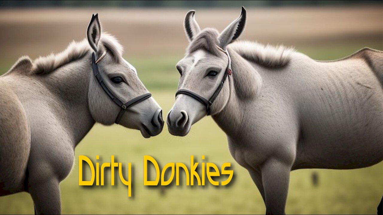 Dirty Donkies