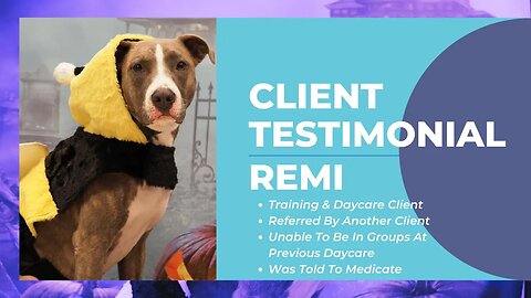 Testimonial: Remi | Client Referral, Unable To Participate In Group At Previous Daycare, Great At CP