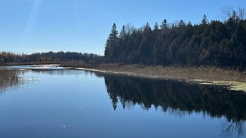 LIVE Pescuit Canada Pigeon River
