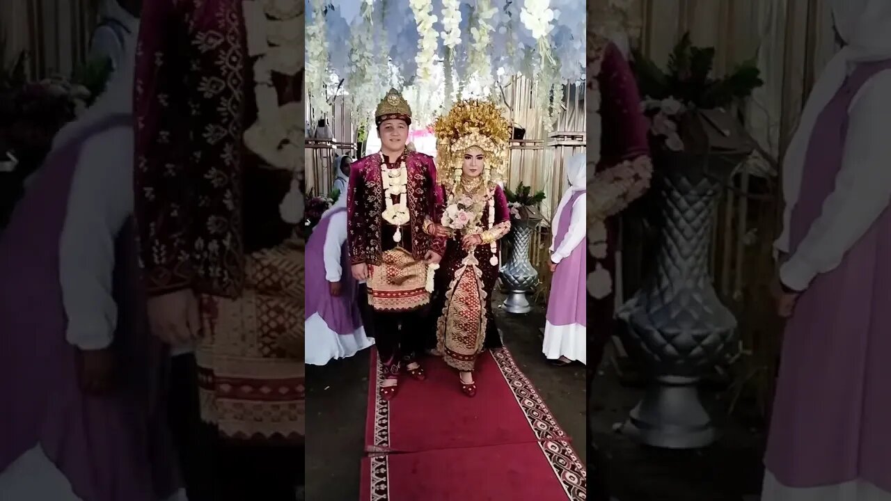 PENGANTIN PALEMBANG RED KARPET MEMASUKI PELAMINAN #shorts #short #shortvideo