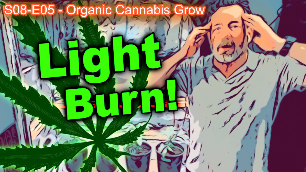 S08 E05 - Cannabis in Veg Stage - 2x4 Indoor Tent - 1.5 Gallon Pots - WE GOT LIGHT BURN!