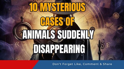 10 Mysterious Cases of Animals Suddenly Disappearing