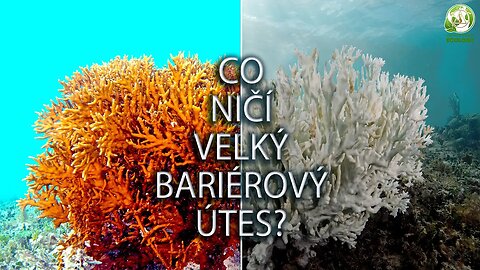 Velký bariérový útes je v ohrožení!
