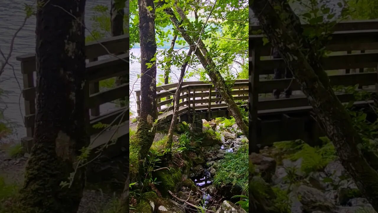 The bridge on The West Highland Way Scotland