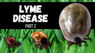 Lyme Disease is a Growing Problem. Where, Symptoms, Treatments, and Prevention. PART 2