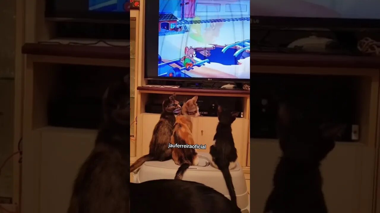 Gatonildes