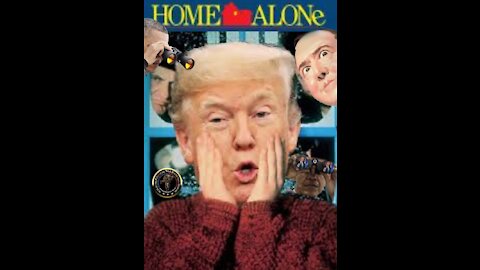 YOUR Never " HOME ALONE " With PRESIDENT Donald Trump (Never Home Alone The Movie)