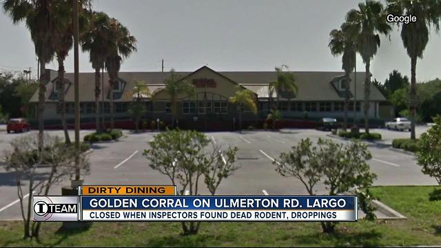 Dirty Dining: Golden Corral closes for 24-hours after 100+ rodent droppings were found near buffet