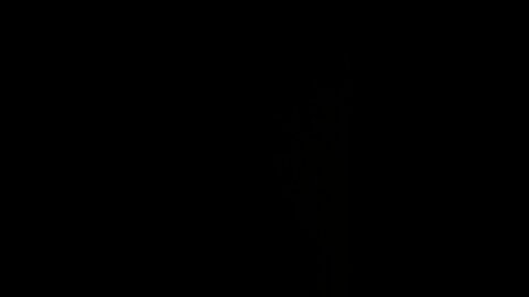 How to pronounce asphyxiated