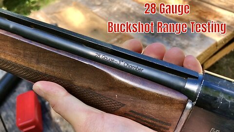 28 Gauge Buckshot Range Testing