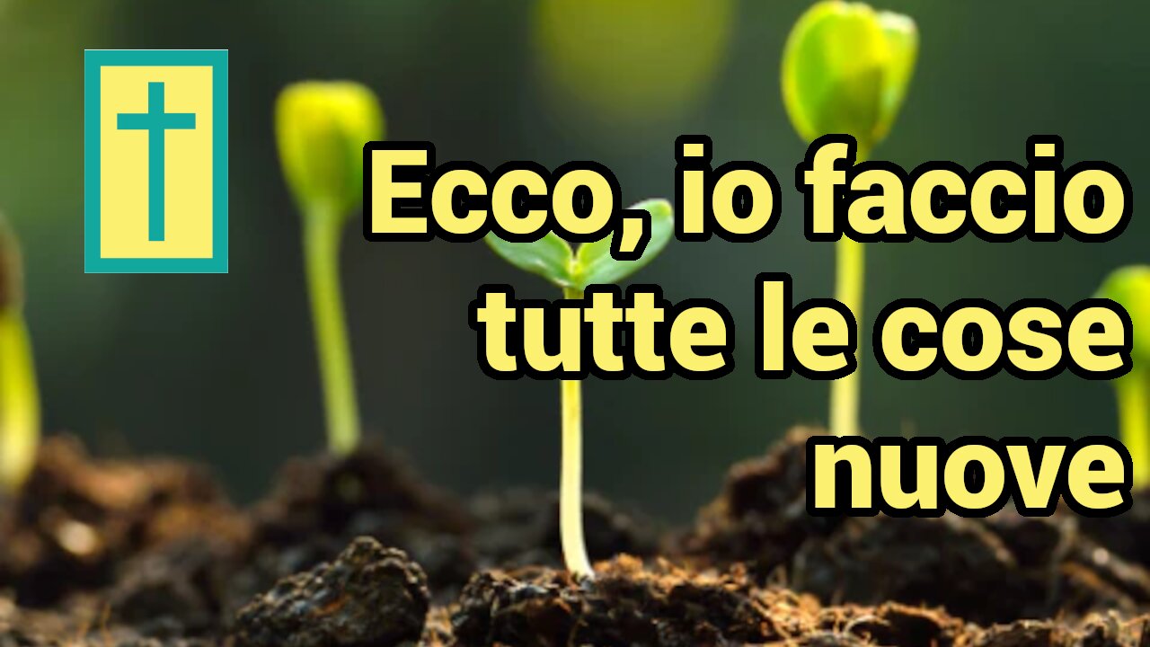 «Ecco, io faccio tutte le cose nuove»